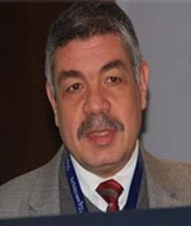 Professor. Ihab Elhakim